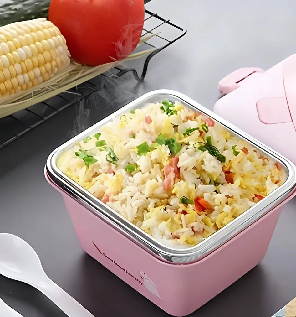 ONE BOWL MEAL INSULATED STAINLESS STEEL LUNCH BOX